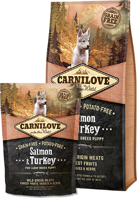 Carnilove Salmon & Turkey for large breed puppy - 1