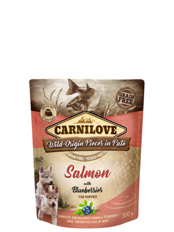 Carnilove Dog Pouch Paté Salmon with Blueberries for Puppies 300g - 1